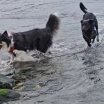20240312_140318_exported_2685