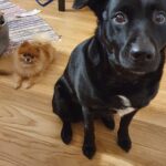 FB_IMG_1688119381622